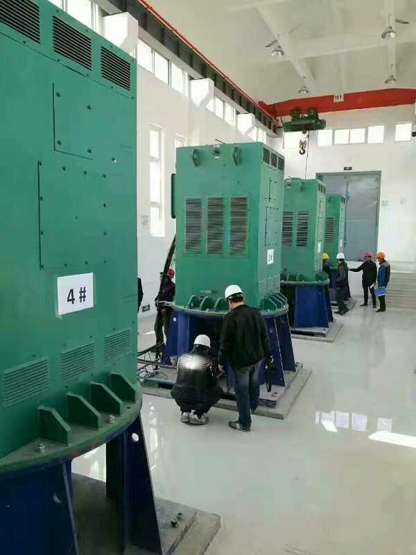 中心监狱某污水处理厂使用我厂的立式高压电机安装现场